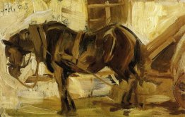 Small Horse Study 1905