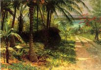 tropical landscape