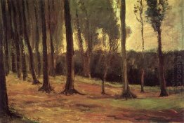 Edge Of A Wood 1882