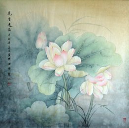 Lotus - Chinese Painting