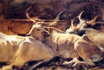 Oxen In Repose