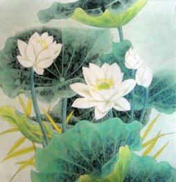 Lotus - Chinese Painting