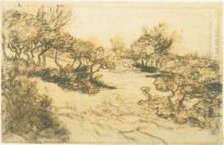 Hill With Bushes 1888