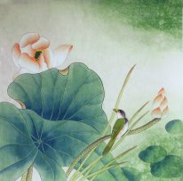 Lotus - Chinese Painting