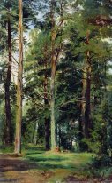 Meadow With Pine Trees