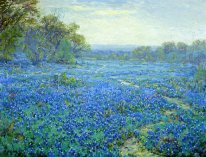 Bluebonnet Scene