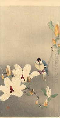 Blue Bird en Magnolia