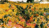 Study Of Vineyard