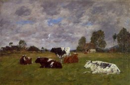 Cows In A Pasture