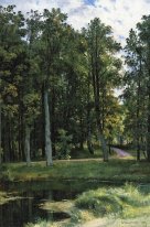 Forest Road 1897