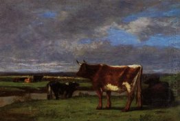 Cows Near The Toques