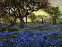 Старый Live Oak Tree и Bluebonnets на West Texas военного Gro