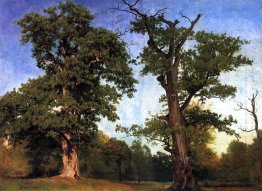 pioneers of the woods 1858