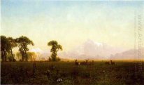 Rehe grasen Grand Teton Wyoming 1861