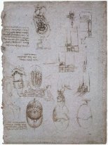 Studier av Villa Melzi och anatomiska Study 1513