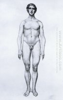 Study Of The Human Figure Anterior View From A Comparative Anato