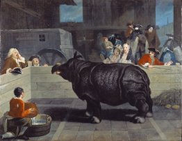 Rhinoceros In Venice 1751