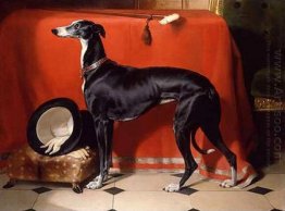 Eos, A Favorite Greyhound of Prince Albert