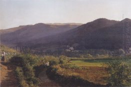 Mountain landscape with vineyard