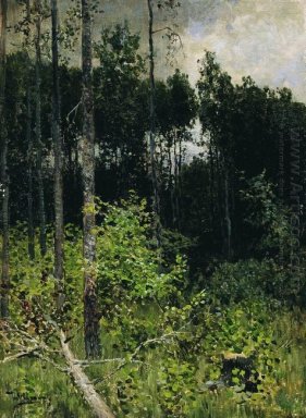 Aspen Spinny un día gris 1884