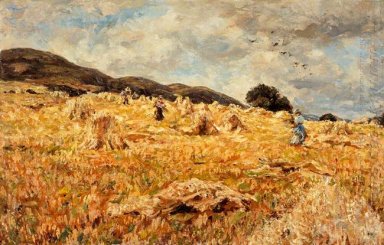 Un Cornfield vicino Wooler