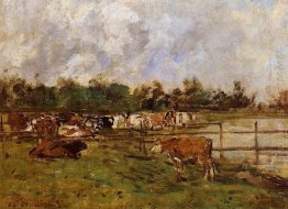 Cows In The Meadow