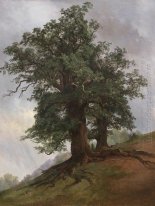 Old Oak 1866