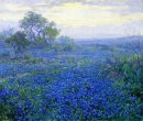 Um dia nebuloso, Bluebonnets perto de San Antonio, Texas