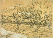 Orchard Mit Blühenden Pflaumenbäume The White Orchard 1888