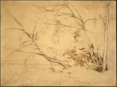 Büschel von Bäumen bei Civita Castellana 1826