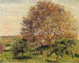 walnut tree in spring 1894