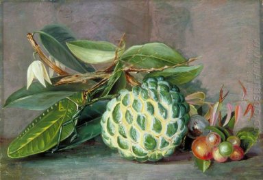 Cherimoya, natif \'Groseille »de Sarawak, et Blatt pèlerin