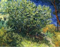 Lilac Bush 1889