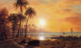 tropical landscape with fishing boats in bay