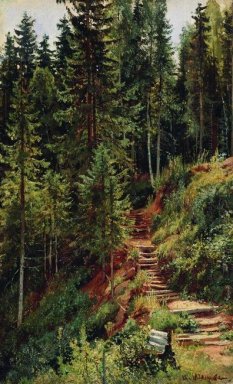 Der Weg in den Wald