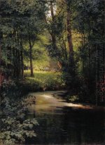 Creek dans la forêt