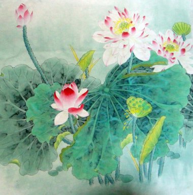 Lotus - pintura chinesa