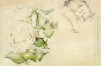 Мадам Сезанн С Hortensias 1885