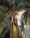  Кокосовые пальмы, Ки-Уэст