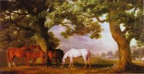 Mares And Foals In A Wooded Landscape 1762