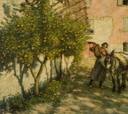 Gathering Oranges