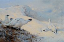 Ptarmigan llamada en la nieve