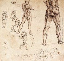 Studi anatomici