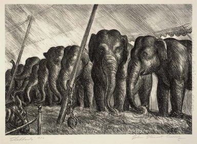 Cirque Eléphants