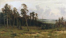 Fir Forest On The River Kama 1877