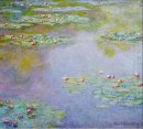 Water Lilies 16