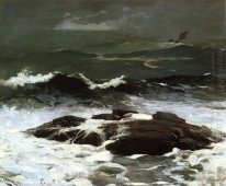 Sommar Squall 1904