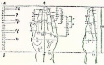 hand 1528