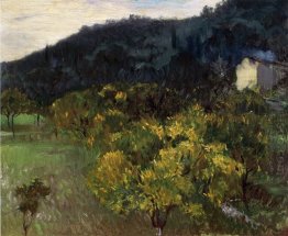 Landscape Near Grasse