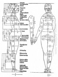 studies on the proportions of the female body 1528